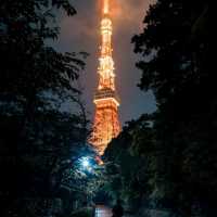 Explore Tokyo's Night View 🗼🌃