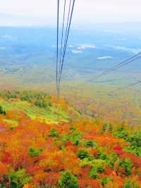 【秋の絶景】紅葉が美しい八甲田ロープウェー🚠⛰🍁