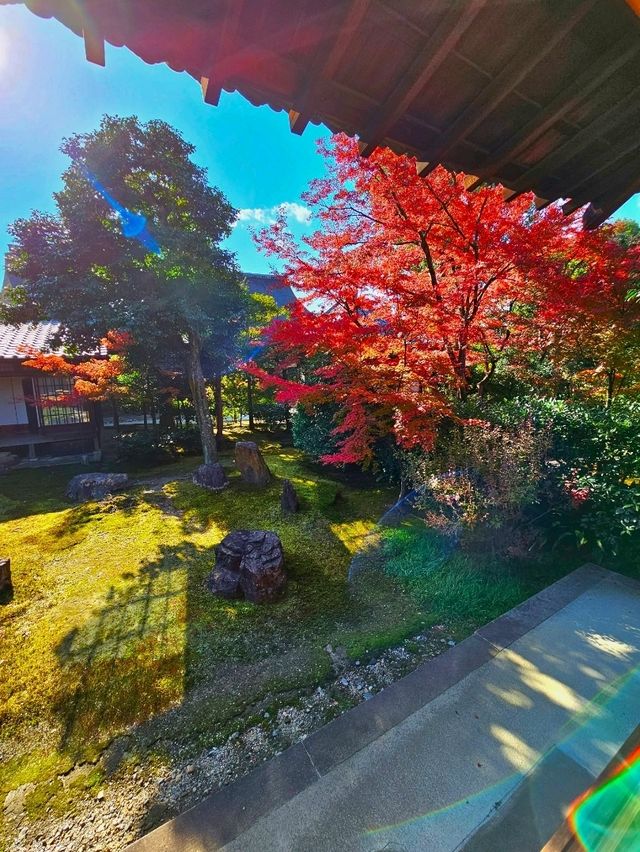 【京都/紅葉スポット】京都最古の禅寺で静かな時の流れを感じて