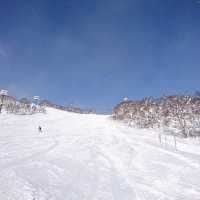 【ニセコ東急 グラン・ヒラフ:北海道倶知安町】ニセコで人気のスキー場⛷️