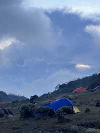 Camping At Surya Kencana Mt Gede ⛺️ 