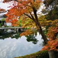 Nature’s Palette: Autumn Bliss at Kokoen Garden, Himeji!