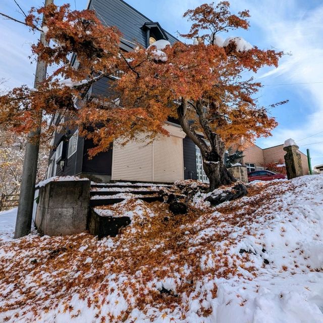 🇯🇵青森「中野紅葉山」有著東北小嵐山美譽的賞楓🍁勝地