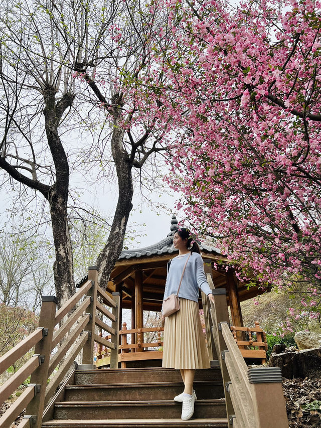 Chilbong: Blooming Wonders and Panoramic Views of Jeonju