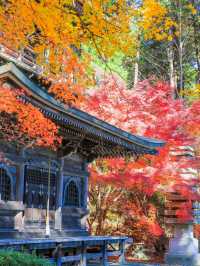 📍 【栃木】秋色に包まれ益子町の紅葉の名所