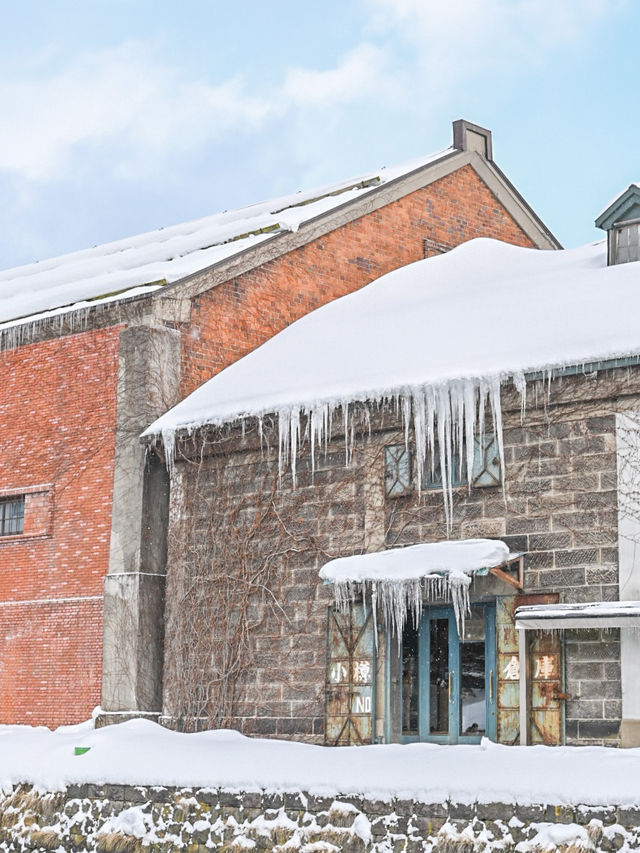 【北海道/小樽】冬に行きたくなる雪の絶景観光地☃️