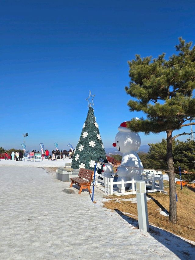 신나는 강원도 겨울여행추천 스노위랜드☃️