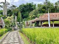 Rustic Retreat at Ngopi di Sawah