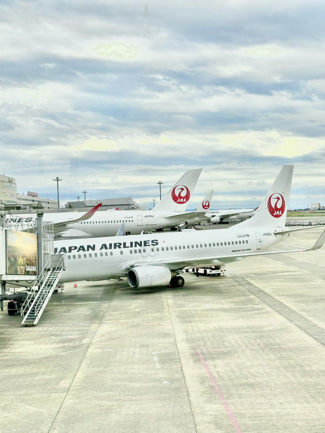 📍JALサクララウンジ/羽田空港