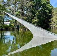 Christchurch Botanic Gardens 🌲🌴🌱🌿🍄🌹🌺🌾🌸