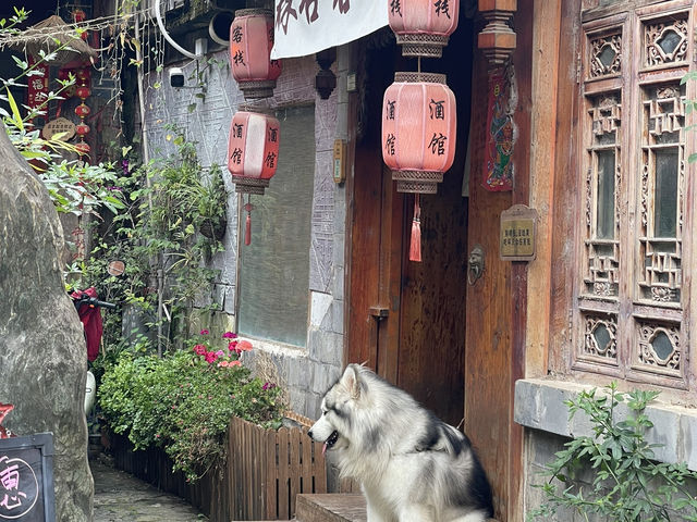 Lost in Lijiang: A 3D2N Journey into Ethnic Charm, Locals’ Warmth, and Chill Vibes