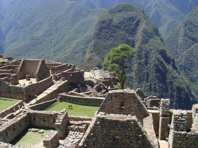 Misty Mornings at Machu Picchu