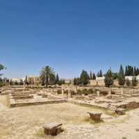 Uncover Roman Mosaics at El Jem Museum