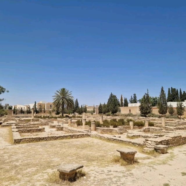 Uncover Roman Mosaics at El Jem Museum