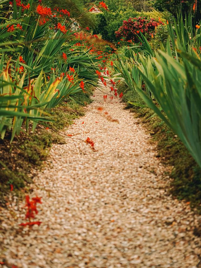 法國|巴黎莫內花園 莫內花園Monet gardens