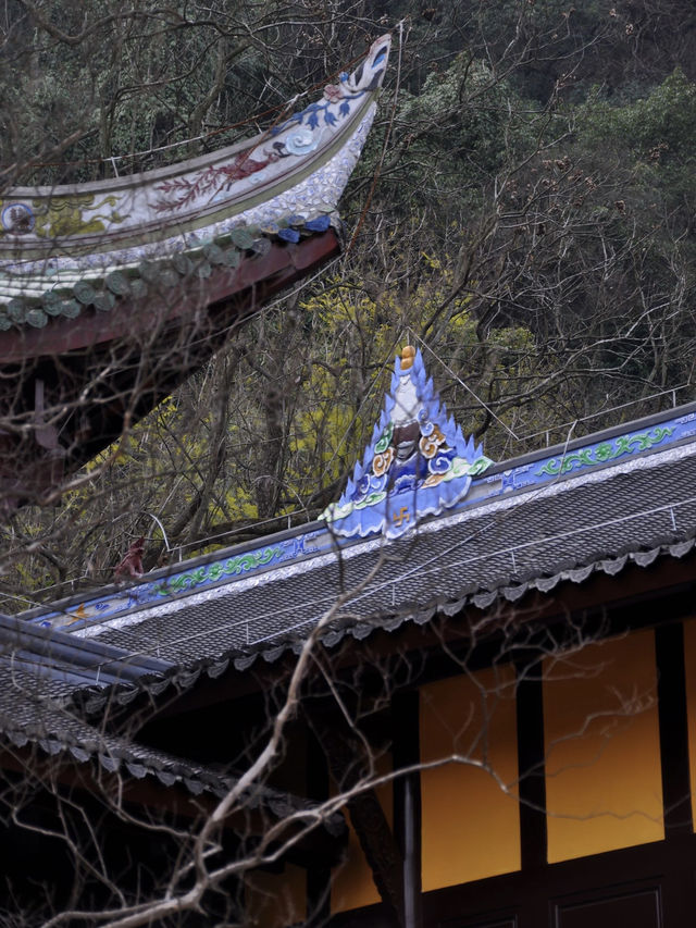 重慶旅遊｜峽谷深處的明代寺院和無邊溫泉公園