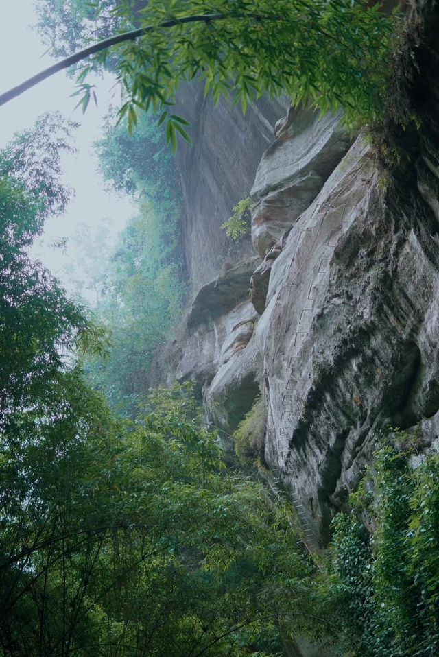 川西竹海風景