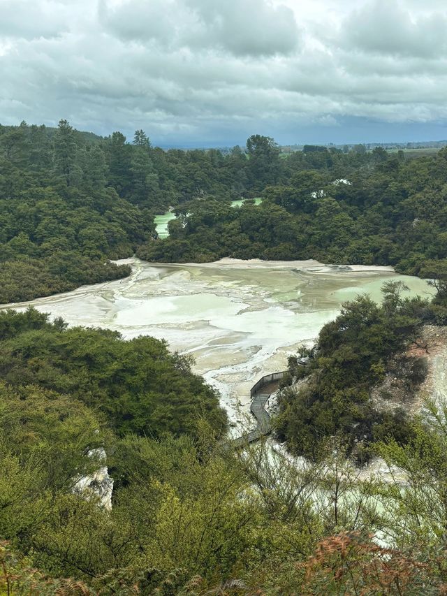 新西蘭10日秋遊攻略不踩雷玩法。