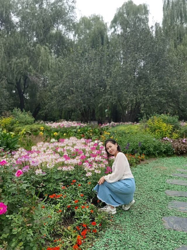 北京海淀公園也有了莫奈花園。