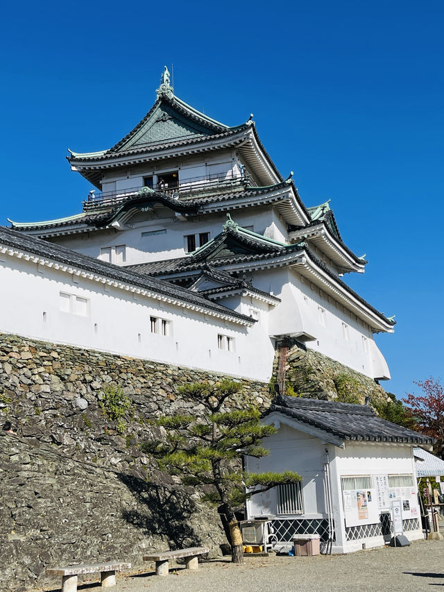 日本·和歌山城。