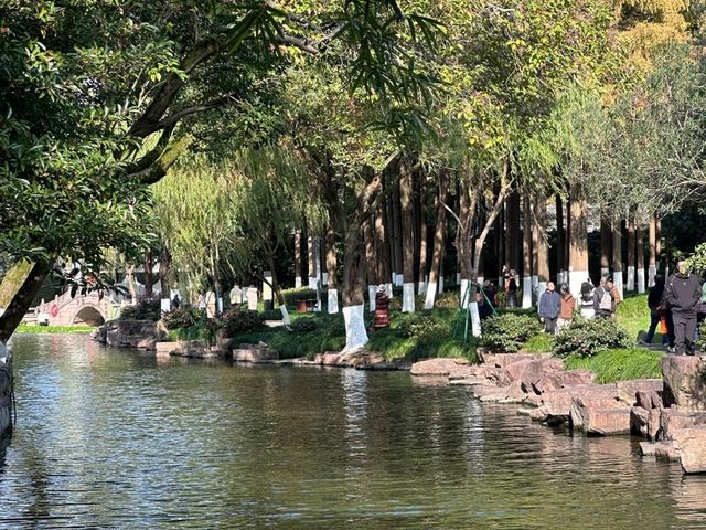 【水鄉風情】寧波月湖公園，江南園林的靜謐之旅