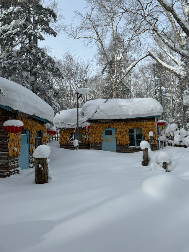 哈爾濱-雪鄉-長白山｜6天元旦深度遊 玩轉冰雪世界