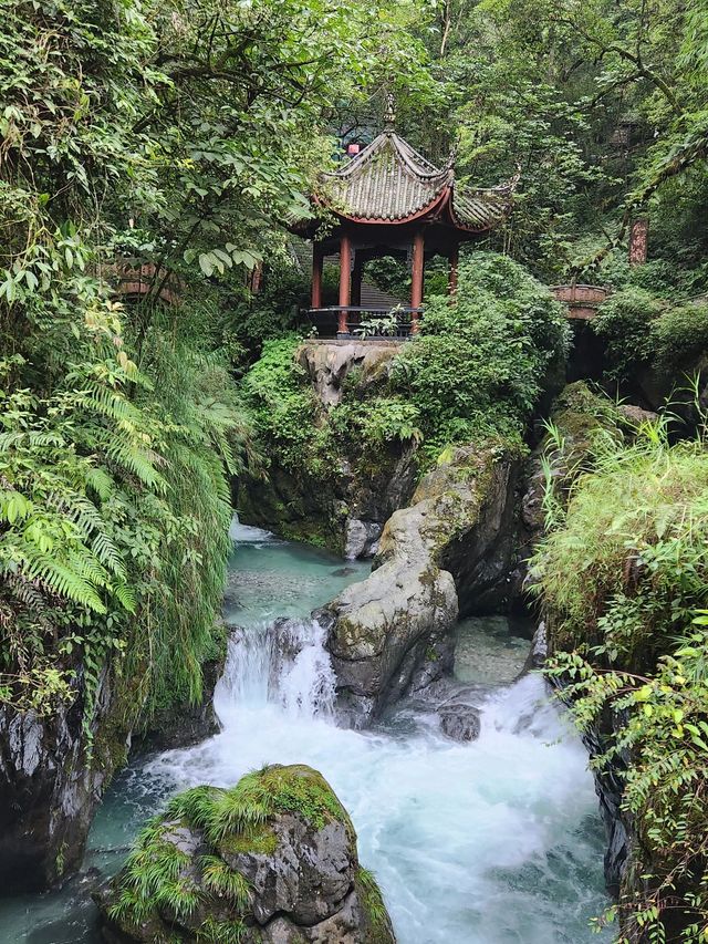 過年好去處：峨眉山2日遊 美景不容錯過