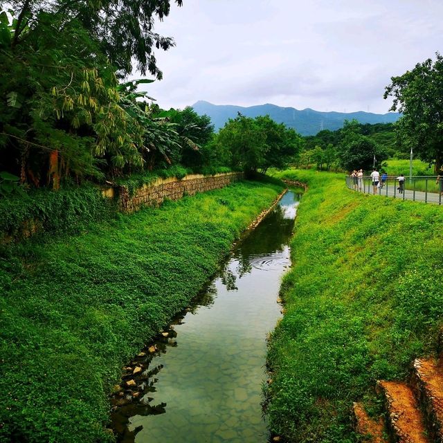 環西麗湖綠道