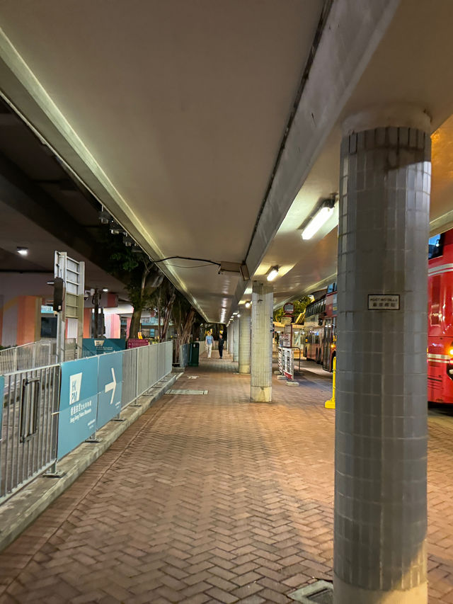 홍콩 야경 데이트, 홍콩 핫플 ‘West Kowloon Art Park’