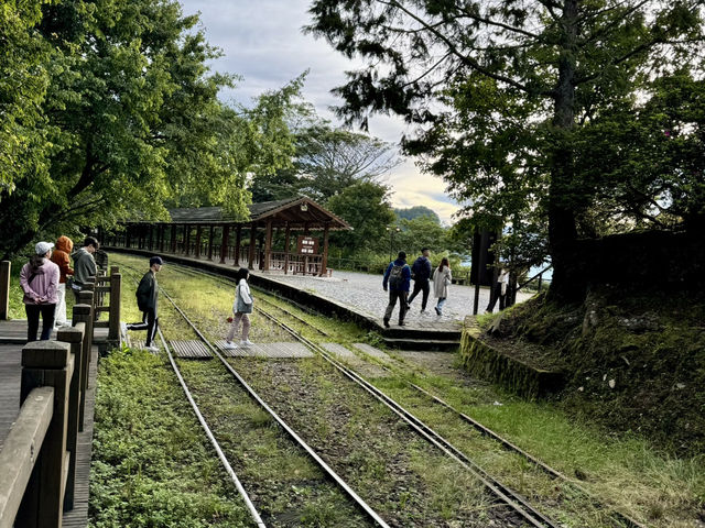 《阿里山賞日出》