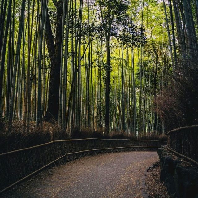 探索京都：一日文化與自然之旅