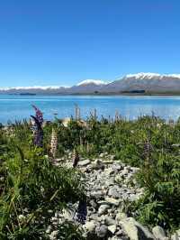 Breathtaking Lake Tekapo!