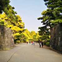 Royal History and Timeless Beauty: My Visit to Tokyo Imperial Palace!