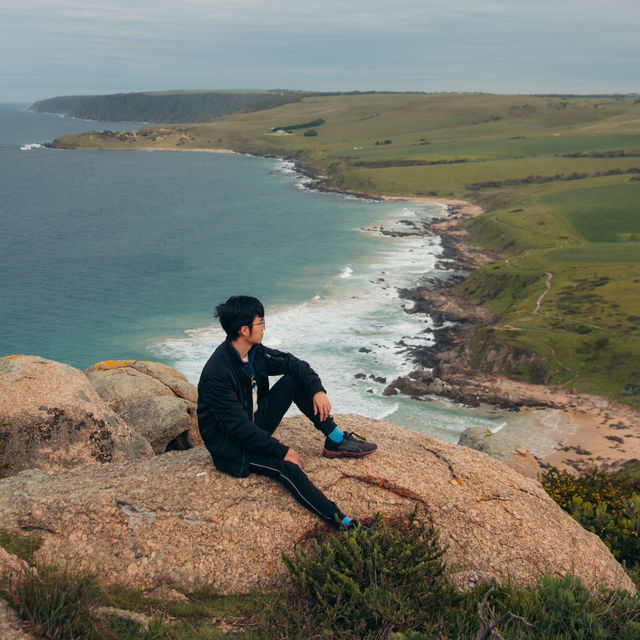 弗勒里尤半島輕鬆郊遊 Fleurieu Peninsula