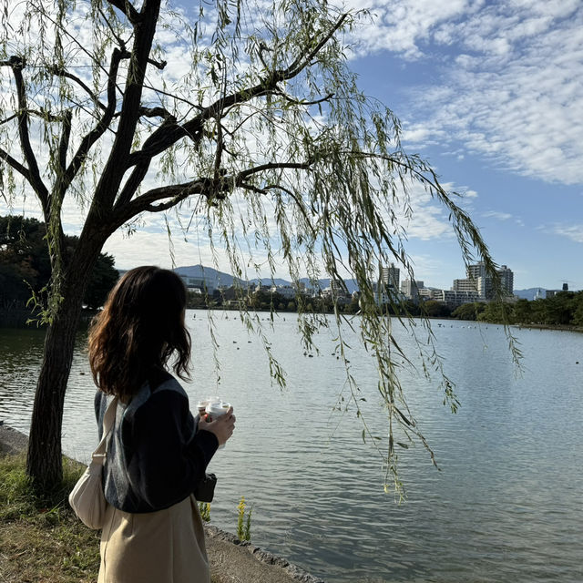 오호리 공원의 여유로운 산책과 풍경 🌳