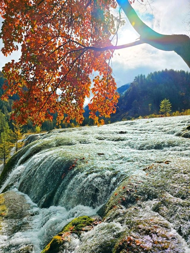 Jiuzhaigou in autumn 🍁