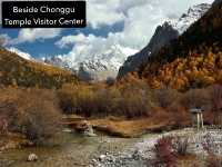 Best Autumn Viewing Experience 3/3 [Beyond Chonggu Grassland, Yading Nature Reserve]