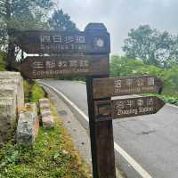 Alishan’s Cherry Blossom (Taiwan)