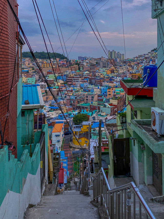 부산 인생사진 남길 수 있는 포토스팟 추천🇰🇷