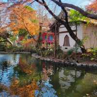 Enjoying Nature at Inokashira Park