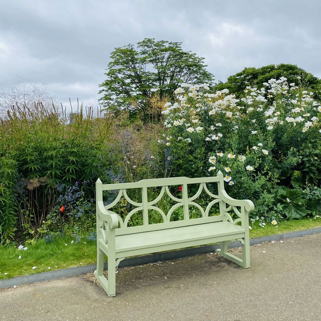 Cycling with a View: Kensington Palace Experience