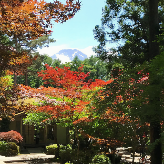 Traditional Ryokan + Mt.Fuji = Perfection