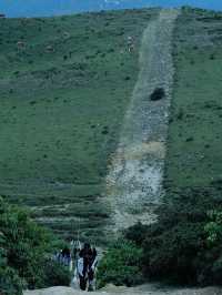 絕美登山 步道分享 大理徒步療癒之旅