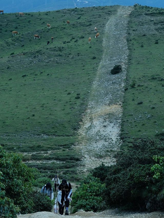 絕美登山 步道分享 大理徒步療癒之旅