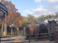 上海動物園從沒讓我失望過