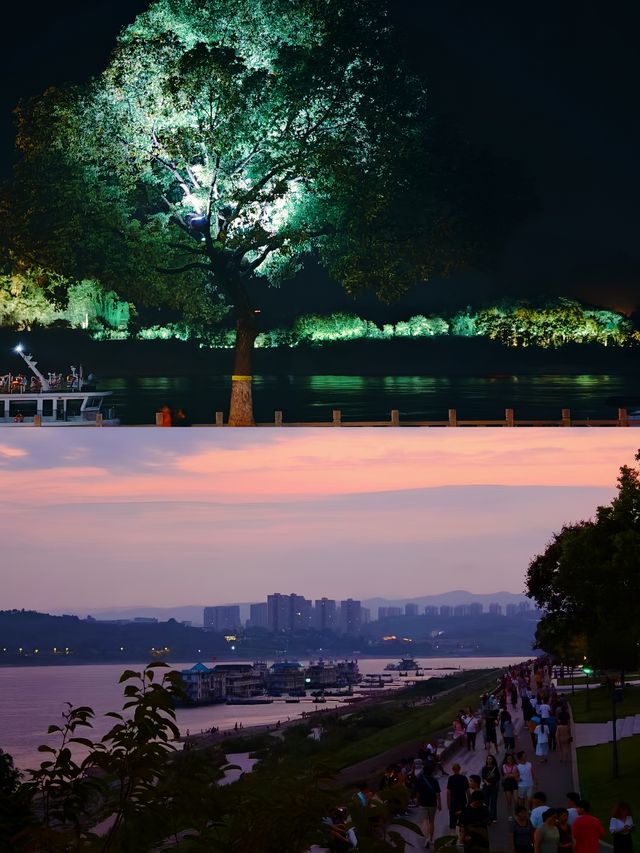 住宜錦美怡，賞濱江公園夜景：夜晚的浪漫之約。