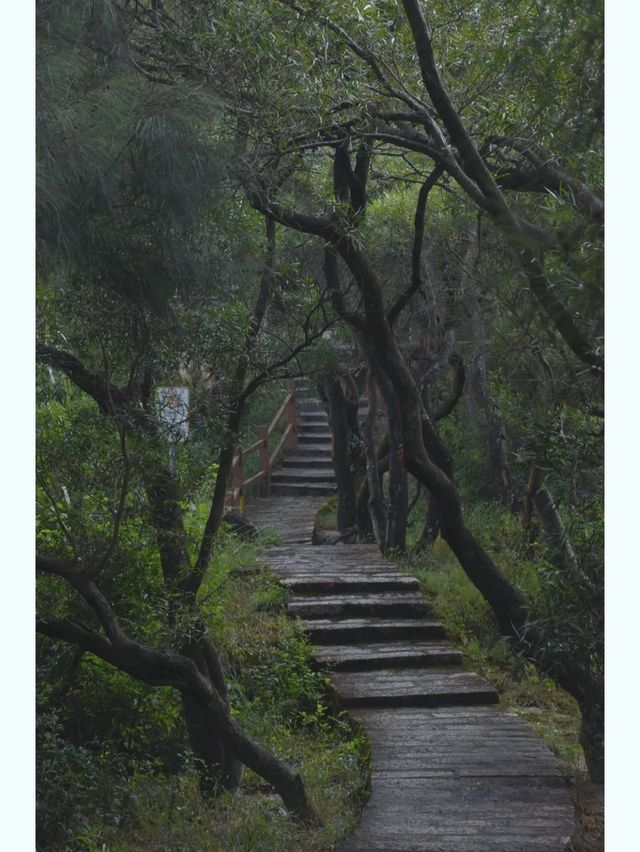 看山海滑索道！不如看廈門版鐵達尼號。