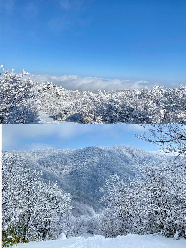 龍王山徒步賞雪：一場冰雪中的夢幻之旅。