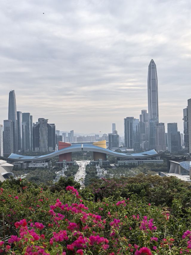 深圳蓮花山公園親子遊體驗之旅