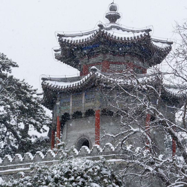 Winter in Beijing 🇨🇳 The Forbidden City 